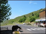Sun 25 Jul 2004 13:23:00 PIC00051.JPG 