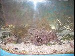 Sat 25 Sep 2004 12:03:14 IMG_2375.JPG 
