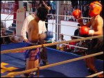 Sat 19 May 2001 13:15:56 DSC03966.JPG 