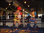 Sat 19 May 2001 13:48:46 DSC03995.JPG 