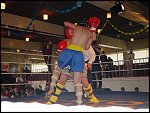 Sat 19 May 2001 14:00:34 DSC04001.JPG 