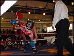 Sat 19 May 2001 14:46:48 DSC04030.JPG 