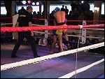 DSC00035.JPG 