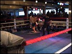 DSC00049.JPG 