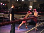 DSC00162.JPG 
