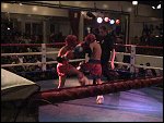 DSC00178.JPG 