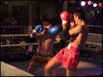 DSC00206.JPG 