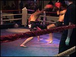 DSC00319.JPG 
