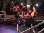 DSC00338.JPG 