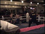 DSC00354.JPG 