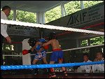 DSCF0025.JPG 