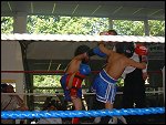DSCF0026.JPG 