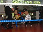 DSCF0040.JPG 