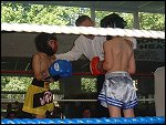 DSCF0045.JPG 