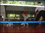 DSCF0048.JPG 
