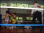 DSCF0050.JPG 