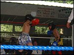 DSCF0052.JPG 