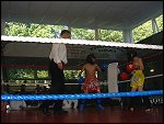 DSCF0061.JPG 