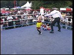 82.JPG 