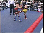 93.JPG 