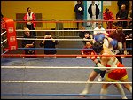 Sat 11 Jan 2003 16:04:42 DSC01909.JPG 