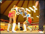 Sun 12 Jan 2003 19:15:02 DSC02583.JPG 