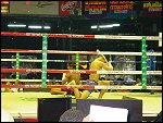 Sat 08 Mar 2003 15:00:30 DSC03468.JPG 