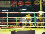 Sat 08 Mar 2003 15:08:02 DSC03487.JPG 