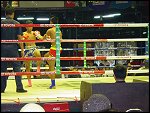 Sat 08 Mar 2003 15:21:44 DSC03517.JPG 