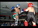 Sat 12 Feb 2005 19:39:44 DSC_2833.JPG 