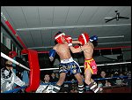 Sat 12 Feb 2005 21:40:08 DSC_3113.JPG 