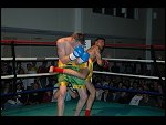 Sat 11 Jun 2005 18:29:36 DSC_8204.JPG 