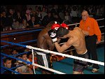 Sat 01 Apr 2006 22:42:04 D20_1813.JPG 