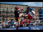 Sat 15 Jul 2006 14:10:02 DSC_9084.JPG 