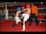 Sat 11 Nov 2006 18:23:40 D20_2366.JPG 
