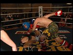 Sat 28 Feb 2009 18:33:19 DSC_0543.JPG 