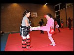 Tue 26 Jan 2010 20:37:12 DSC_2431.JPG 