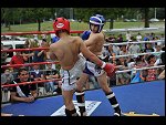 Sat 26 Jun 2010 16:33:36 D3S_3717.JPG 
