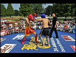 Sat 26 Jun 2010 16:43:18 D3S_3814.JPG 