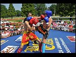 Sat 26 Jun 2010 16:45:38 D3S_3850.JPG 