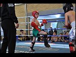 Sat 09 Apr 2011 16:12:10 D3S_3347.JPG 