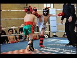 Sat 09 Apr 2011 16:12:40 D3S_3393.JPG 