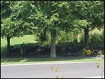 Sat 28 Aug 1999 11:15:50 MVC-364F.JPG 