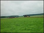 Thu 20 Jun 2002 13:09:42 DSC00534.JPG 