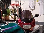 Fri 27 Feb 2004 18:28:20 DSC00463.JPG 