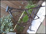 Sat 27 Mar 2004 16:35:08 113-1357.JPG 
