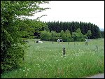 DSCF0060.JPG 