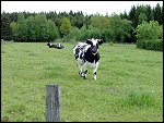 DSCF0065.JPG 