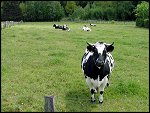 DSCF0066.JPG 