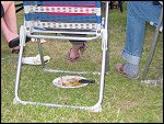 Sat 29 May 2004 19:47:24 PIC00079.JPG 